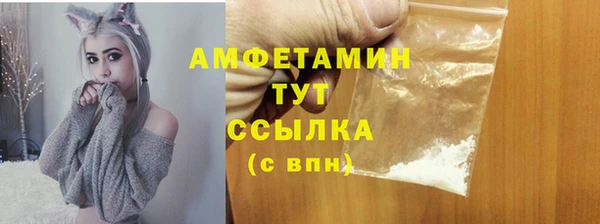 прущие грибы Аркадак