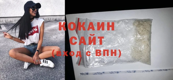 прущие грибы Аркадак