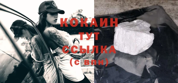 прущие грибы Аркадак