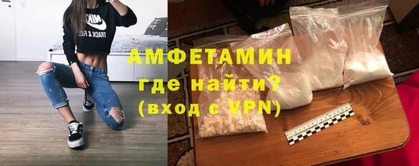прущие грибы Аркадак