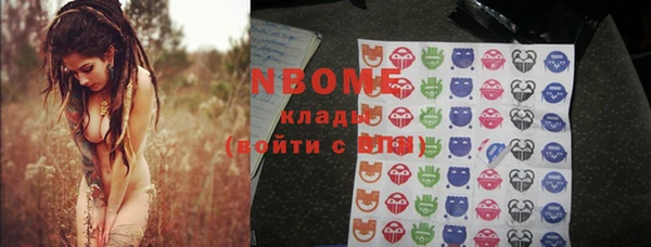 прущие грибы Аркадак