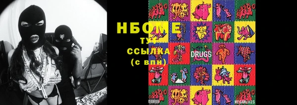 прущие грибы Аркадак