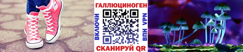 Галлюциногенные грибы Psilocybine cubensis  Малая Вишера 